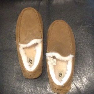 UGG Ascot Chesnut Suede - NWT